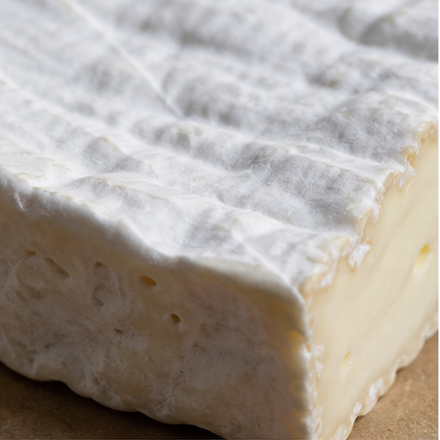 Bloomy cheese rind